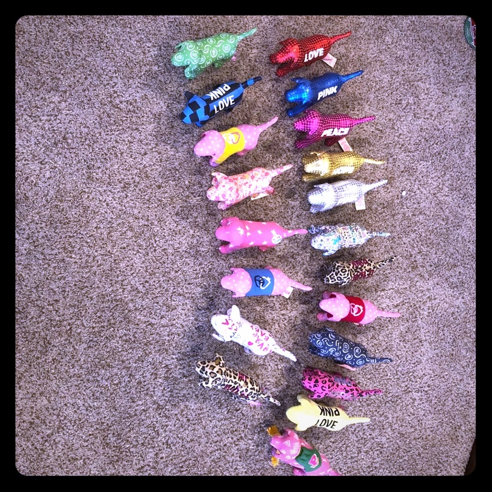 Vs pink dogs